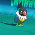 ベラップ強えええええ!!超火力3タテ!ポケモンORAS実況!の画像