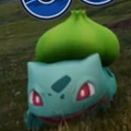 ポケモンGOにハマりすぎたアメリカ人に起こった悲劇!まさかポケモンを集めていたら刺されてしまうなんて!【ポケモン噂の事件簿127】の画像