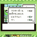 バグらせて図鑑完成!何このアイテム…既にバグっておられる…!!の画像