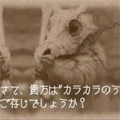 初代ポケモンのバグでグレーバッジを使用した時に流れる音楽の秘密とは!?の画像