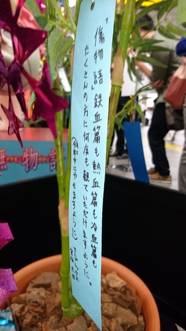 DSC_0171
