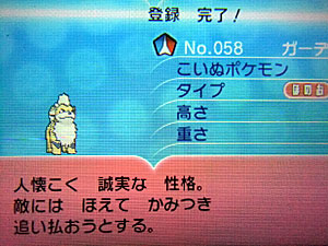 gardy4