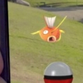 ポケモンGOを禁止していたはずが……!?柔軟な対応にプレイヤー歓喜!西本願寺の心温まるエピソード【ポケモン噂の事件簿145】の画像