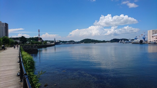 DSC_0014 (1)