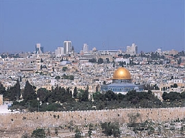 IL_image_01