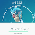 【検証】結局ギャラドスは進化と強化どっちが大事！？【ポケモンGO】の画像