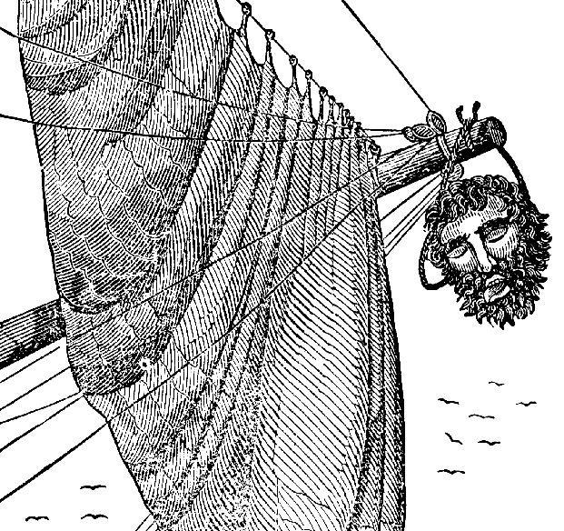画像出典：https://ja.wikipedia.org/wiki/黒髭