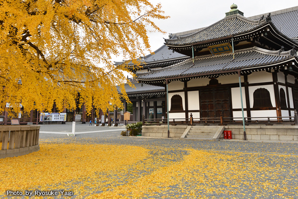 nishihonganji_01