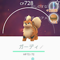 【実験】ポケモンGO Plusだけで何匹GET!?1日使ってみた。ポケモンGO Plus【ポケモンGO】の画像