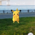 25年ぶりのリーグ優勝をはたした広島カープ!その本拠地広島にて、ポケモンGOにちなんだこんなイベントが!【ポケモン噂の事件簿180】の画像