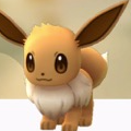 ポケモンGOで、イーブイを相棒ポケモンにすると画面でどのように表示されるでしょうか?【ポケモン クイズ&トリビア】の画像