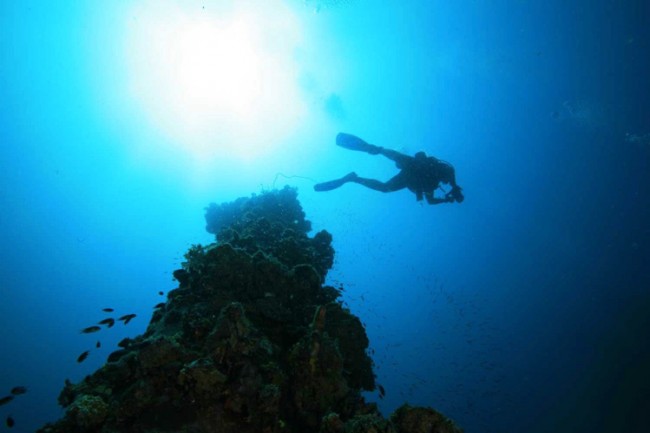 画像出典：http://cortodivers.com/jp/wrecks.htm