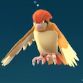 【ポケモンGO】進化マラソンが進化!?獲得経験値80000以上!ポッポ再燃!の画像