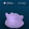 メタモンが出たって本当?10月6日アップデートを解説!コイン情報も!【ポケモンGO】の画像