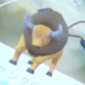 【ポケモンGO】アメリカでケンタロスGETだぜ!サンフランシスコはケンタロスだらけ【MEGWIN TVゲーム部!メテオのゲーム日記】の画像