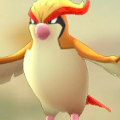 ポケモンGOのピジョットが使えるゲージわざの中で、一番使えるわざはなあに?【ポケモン クイズ&トリビア】の画像