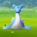 やっぱりアップデートでレアポケ出現率上がったよね!?ポケモンGOでラプラス乱獲動画!もはや入れ食い!の画像
