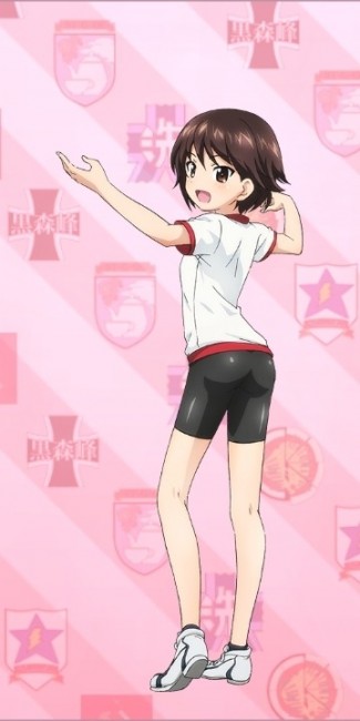 ガルパン　アヒルさんチーム　履修！戦車道！