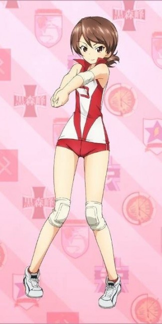 ガルパン　アヒルさんチーム　履修！戦車道！