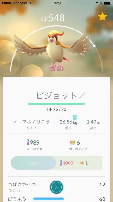 pijot