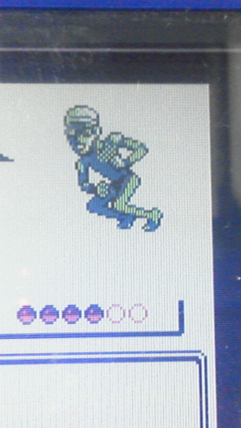 ゲーム　ポケモン　かいパン