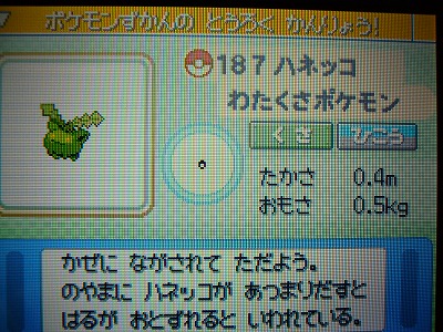 ゲーム　ポケモン　ハネッコ