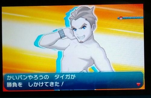 ゲーム　ポケモン　サンムーン