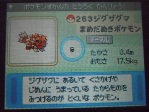 ゲーム　ポケモン　ジグザグマ