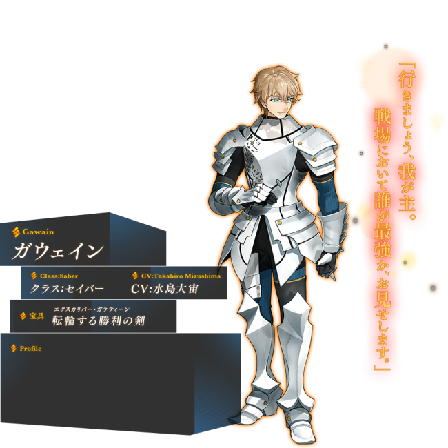 Fate/EXTELLA　サーヴァントミラー　秋葉原UDX