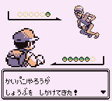 ゲーム　ポケモン　かいパン