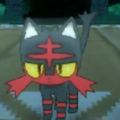 【ポケットモンスター ムーン生放送】 期間限定!Zワザカビゴン配布情報【MEGWIN TVゲーム部!メテオのゲーム日記】の画像