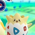 ポケモンGOに新しく追加された、ピチューやトゲピーなどのポケモンの総称はなあに?【ポケモン クイズ&トリビア】の画像