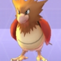 ポケモンGOで、オニスズメを進化させると何になるでしょう?【ポケモン クイズ&トリビア】の画像