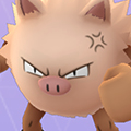 知られざるオコリザルの生態!実はポケモン界の矢吹丈だった!?【ポケモン噂の事件簿303】の画像