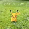 謎のシルエット……その正体は!?ポケモンGOで起こったちょっと奇妙な騒動!【ポケモン噂の事件簿293】の画像