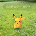 ポケモンGOが日本で配信開始されたのは、いつだった?【ポケモン クイズ&トリビア】の画像