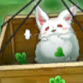 【遊戯王ＤＬ】BOXヴァルキリーズレイジのレッカーパンダの相性の良いカードを大紹介いたします！！の画像