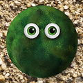 【パズル×育成】極小1mmのキャラを画面からはみ出るまで育てるゲーム!? iOS用アプリ『タマタマ』配信開始!の画像