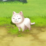 サルーパねこ1
