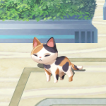 ラウラ・ドームねこ2