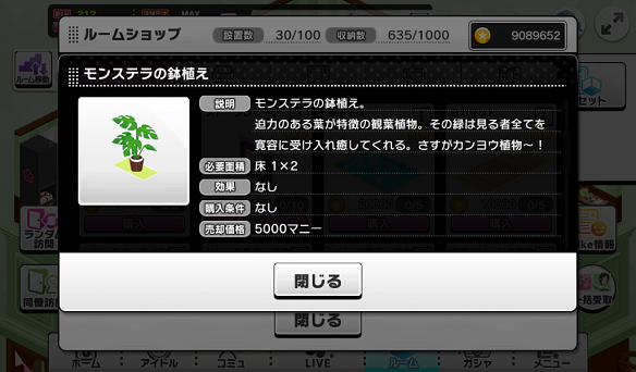 モンステラの鉢植え
