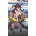 【グランブルーファンタジー】夏だ！水着だ!レジェフェスだ！今月も開催月末恒例レジェフェス!今回は怒涛の水着ラッシュ！の画像