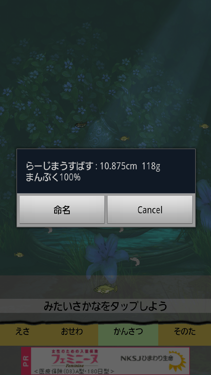 androidアプリ ブラックバスを飼おう攻略スクリーンショット3