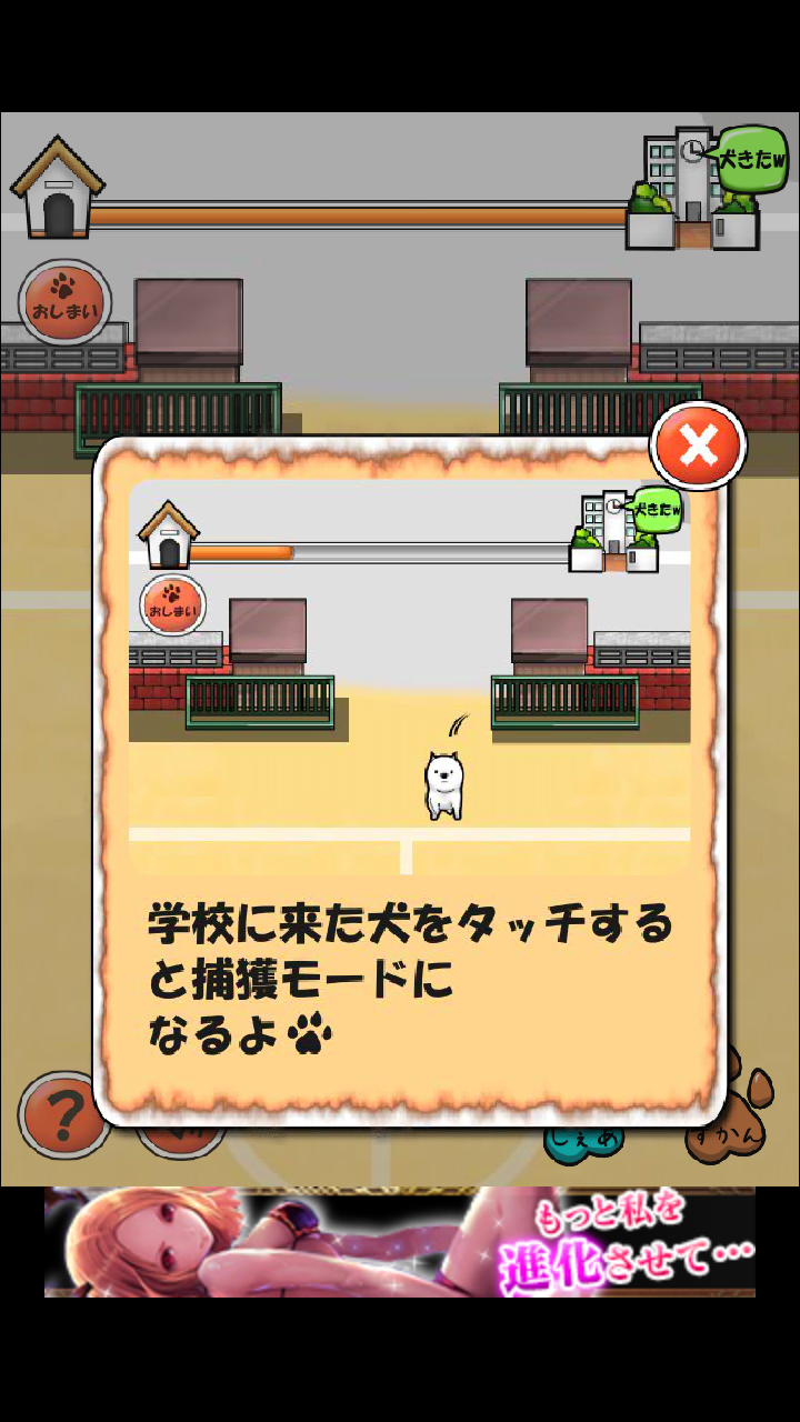 androidアプリ 校庭に犬w攻略スクリーンショット2
