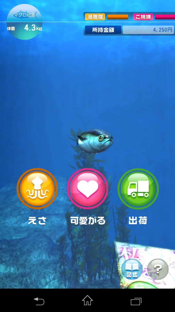 androidアプリ まぐろ養殖攻略スクリーンショット1
