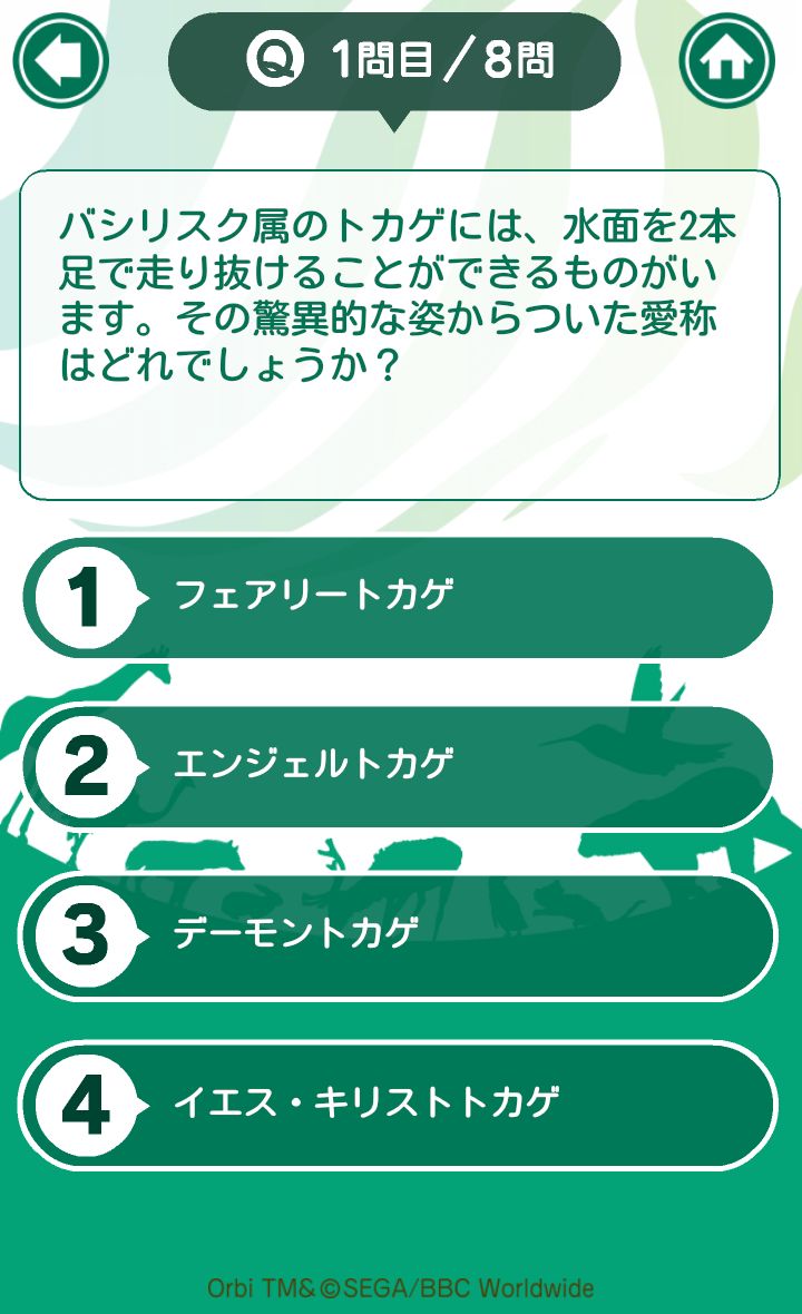 androidアプリ Orbi クイズで図鑑をつくろう!攻略スクリーンショット2