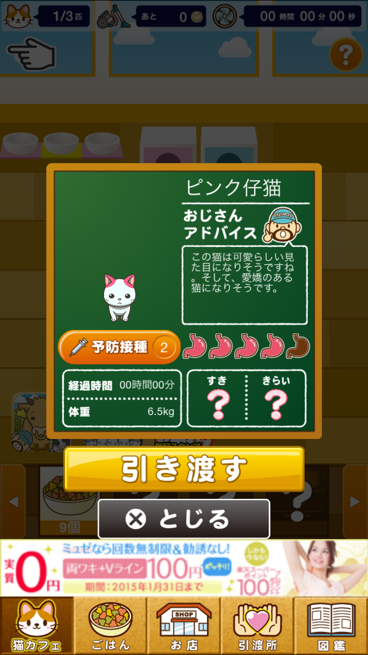 androidアプリ ねこカフェ~猫を育てる楽しい育成ゲーム~攻略スクリーンショット1