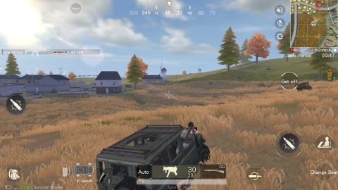 Survivor Royale