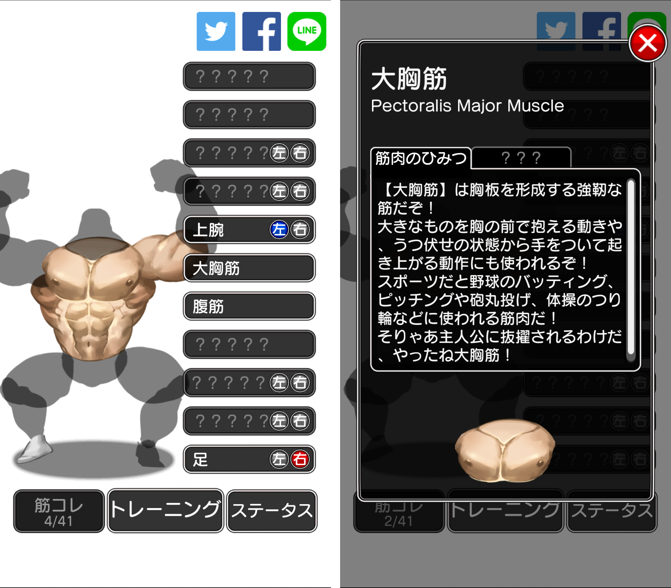 androidアプリ キンニクエスト 筋肉と筋肉と筋肉と呪われし筋肉攻略スクリーンショット7