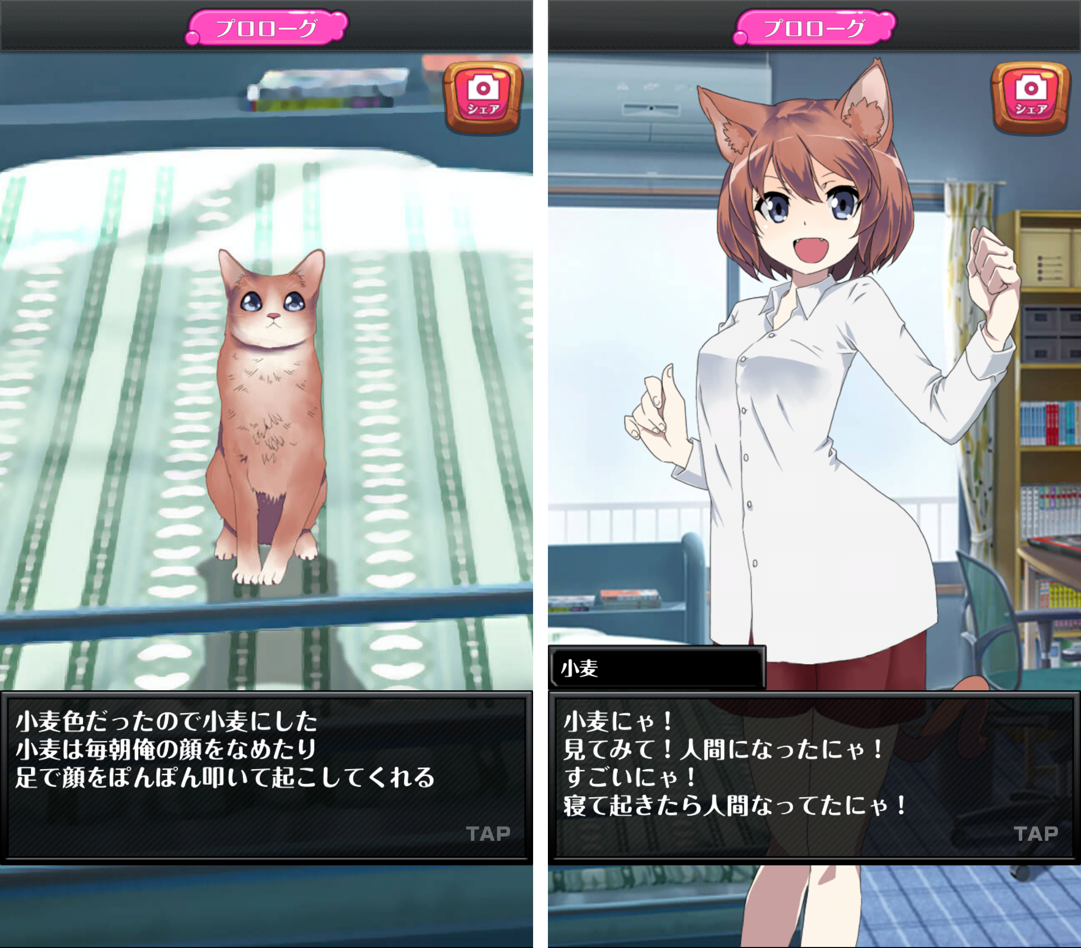 androidアプリ 擬人缶~俺のペットが少女になった~攻略スクリーンショット1